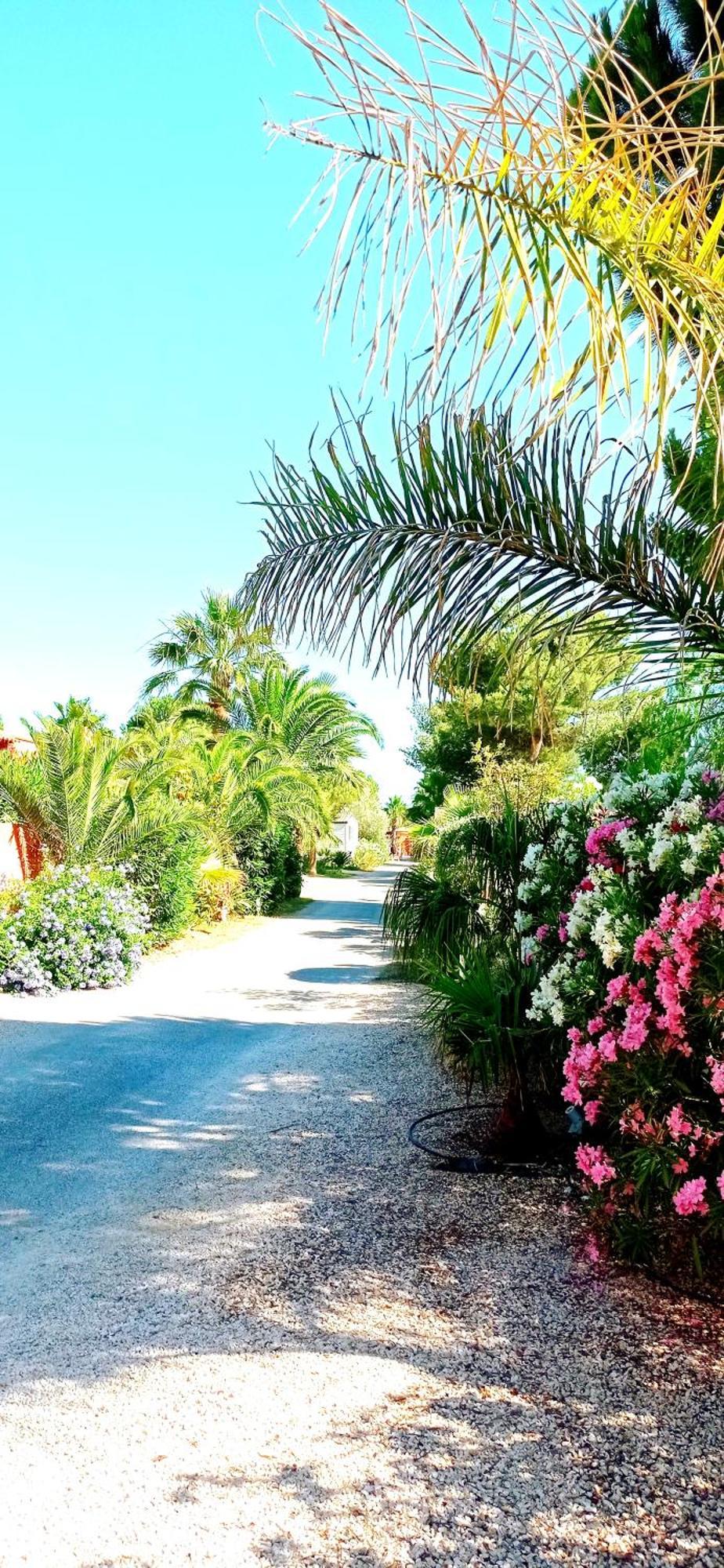 Happymobilhome Argeles-Sur-Mer -Plage A 500M- Camping 4 Etoiles Del Mar 外观 照片